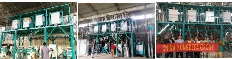 300t/24h Afghanistan European Standard Wheat Flour Mill Machine