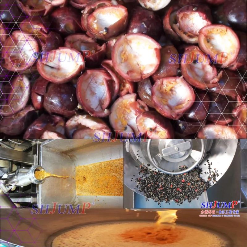 Lycium Chinensis Puree Pulp Production Line