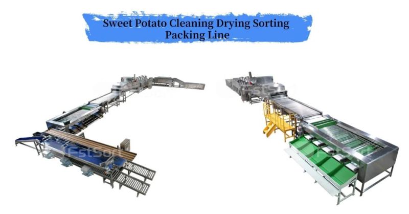 Carrot/Potato/Onion/Cucumber Grading Sorting Machine From China