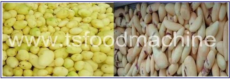 Continuous Discharge Spiral Onion Potato Ginger Peeler and Peeling Machine