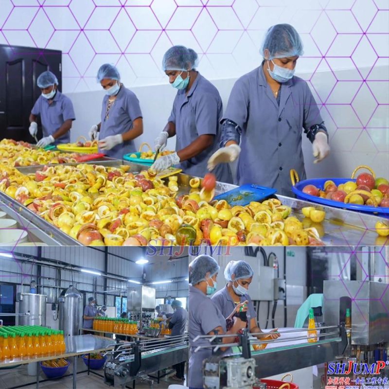 500kg Per Hour Passion Fruit Processing Line Passion Fruit Juice Processing Line Passion Fruit Perserved Fruit Processing Line and Machines