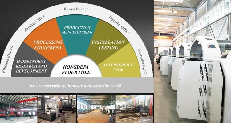 Zimbabwe Popular Maize Flour Milling Machine for Sale