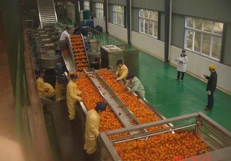 High Quality Concentrated Orange Juice /Mango Juice Production Line