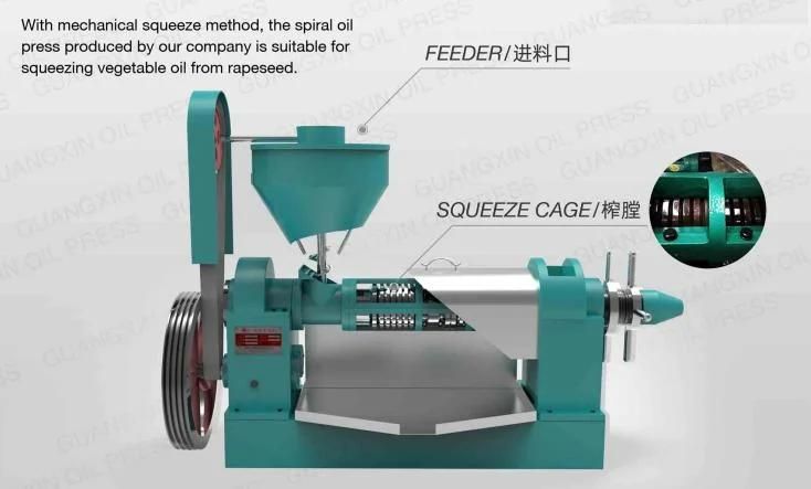 Commercial Best Quality Peanut Coconut Sesame Dried Avocado Oil Making Machine Screw Oil Press