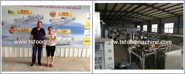 High Efficiency Professional Vegetable and Fruit Bubble Washer Food Processing Equipment
