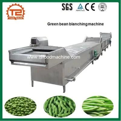 Green Bean Blanching and Pre-Cooking Machine