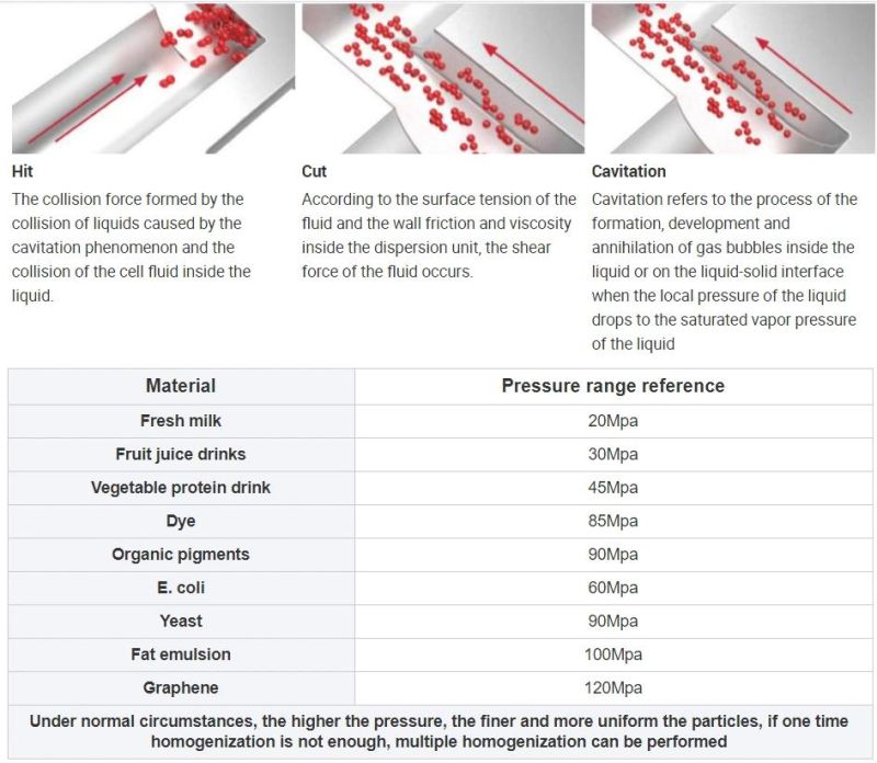 Fruit Juice Beverage Homogenizer