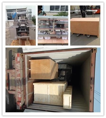 High Technical Flat Lollipop Forming Nad Wrapping Machine