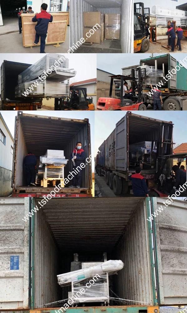 Dewatering Centrifuge Machinery Fries Dewatering Machine