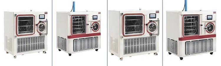 Small Vacuum Freeze Drying Machine for Banana and Strawberry Drying