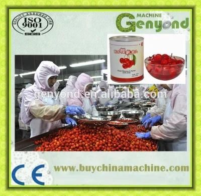 Top Quality Complete Cherry Canning Plant