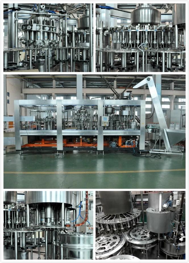 Mango/Apple/Pear Fruit Pulper/Fruit Pulping Machine for Juice Filling Machine