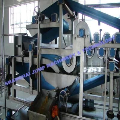 High Capacity Blueberry Juice Processing Line