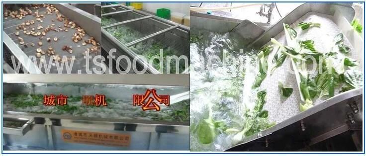 Automatic Vegetable Washing Machine with Pressure Washer for Vegetable Processing