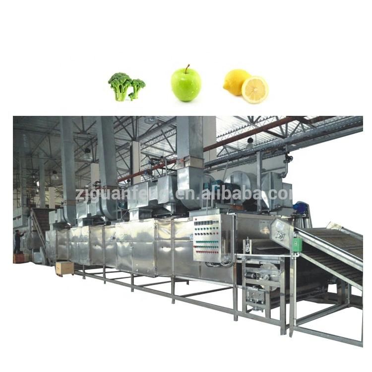 Industrial Fruit Dehydrator Belt Dryer for Fruit Dryer Line