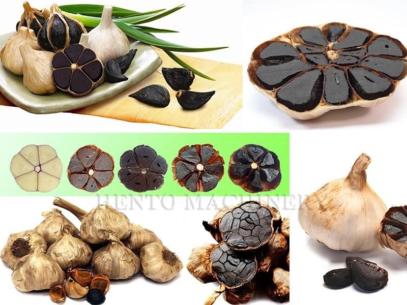 Many Models Black Garlic Fermenting Machine