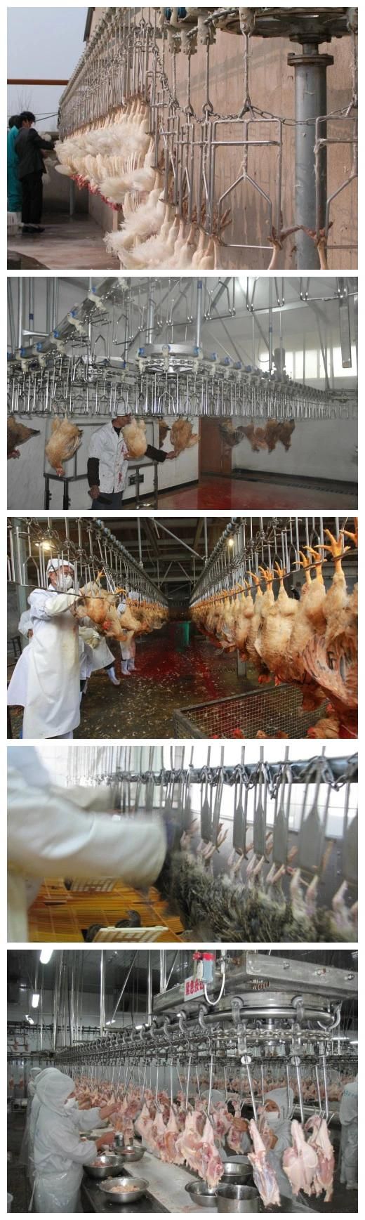 Slaughtering Equipment Manufacturer / Halal Slaughter of Livestock and Poultry