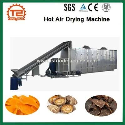 Fruit, Vegetable, Meat Hot Air Drying Machine