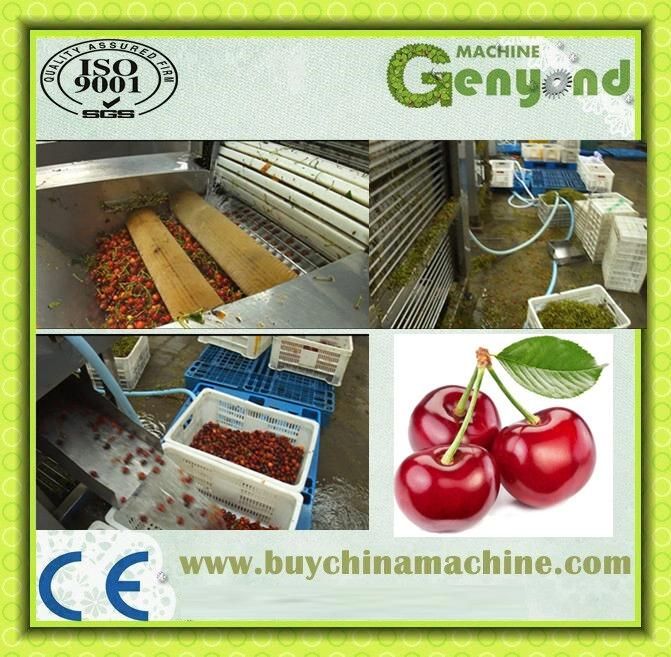 Cherry Stem Removing Machine, Cherry/Fruit Processing Machine