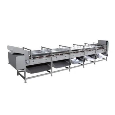 Customized Vegetable and Fruit Size Sorting Machine