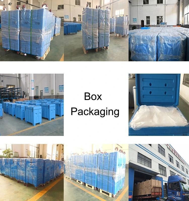 Seafood Packaging Temperature Controlled Insulated Dry Ice Box Manufacturer & Manufacturer