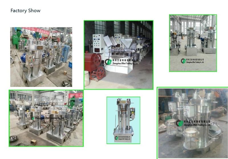 Good Performance Stainless Steel Hydraulic Oil Press Machine with 15-120 Kg/H
