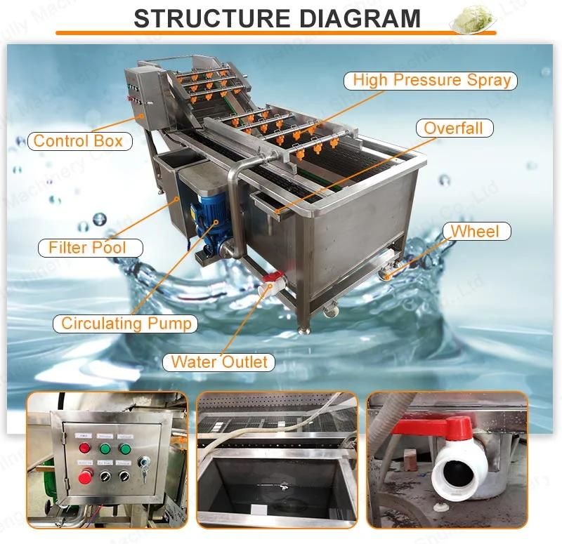 Stainless Steel Air Bubble Cleaning Machine for Leaf Vegetable