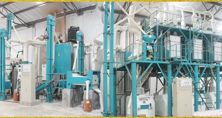 Kenya Market of 50t/D Maize Flour Milling Machine