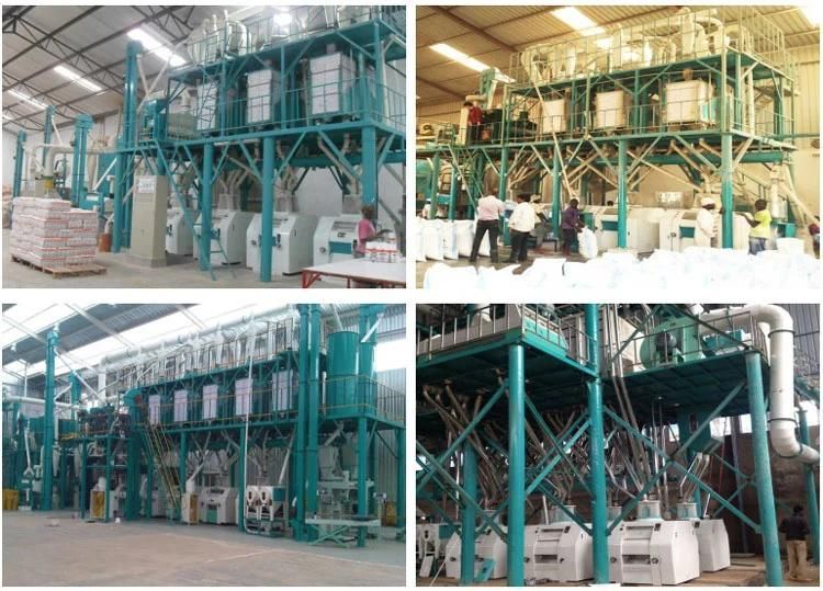 Installed Project Wheat Flour Mill