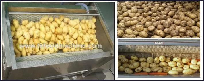 Potato Washer and Peeling Machine Potato Washing Machine