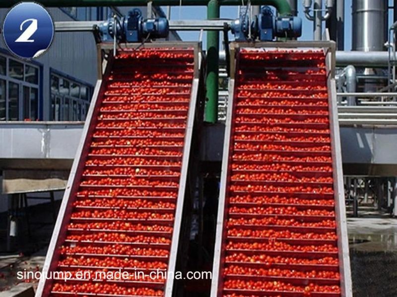 Cashew Apple Processing Line/Cashew Paste Production Machine