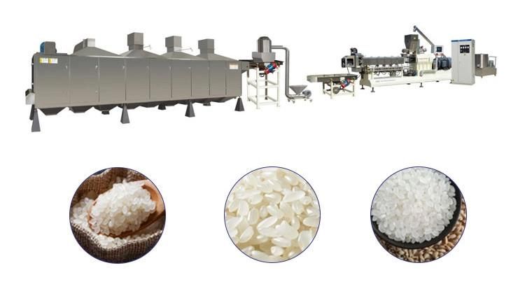 Zh85 Broken Rice Extruder Machine Automatic Fortification Rice Nutrition Processing Line