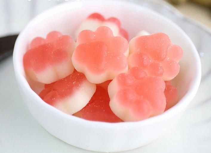 Gummy Bear Candy Depositing Machine for Sale / Full Automatic Jelly Candy Machine