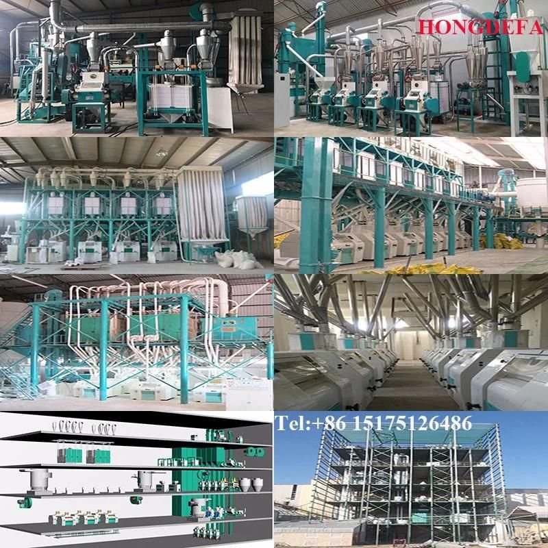 Maize Mill Machine for Zambia Market, Super White Maize Meal for Kenya