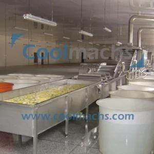 Pumpkin IQF Freezing Production Line