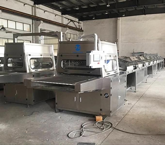 Tyj800 Chocolate Coater Enrober for Cake, Chocolate Enrobing Machine