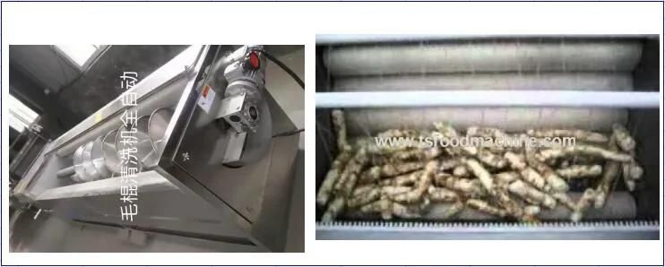 Potato and Cassava Washing Machine or Washer