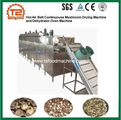 Bailing Mushroom, Tea Tree Muashroom, Shiitake Mushroom Dryer and Drying Machine