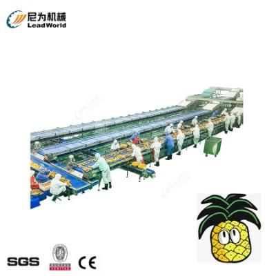 Shanghai Fruit Vegetable Canned Pineapple Processing Production Line Packaging Machine