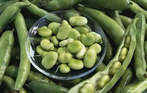 200kg Broad Bean Shelling Machine