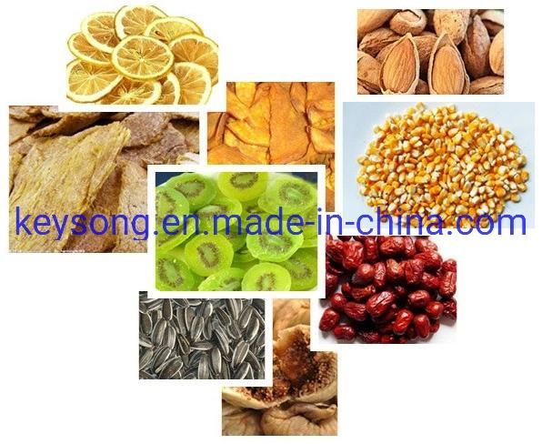 Temperature and Speed Adjustable Continuous Mesh Belt Dryer Food Machine
