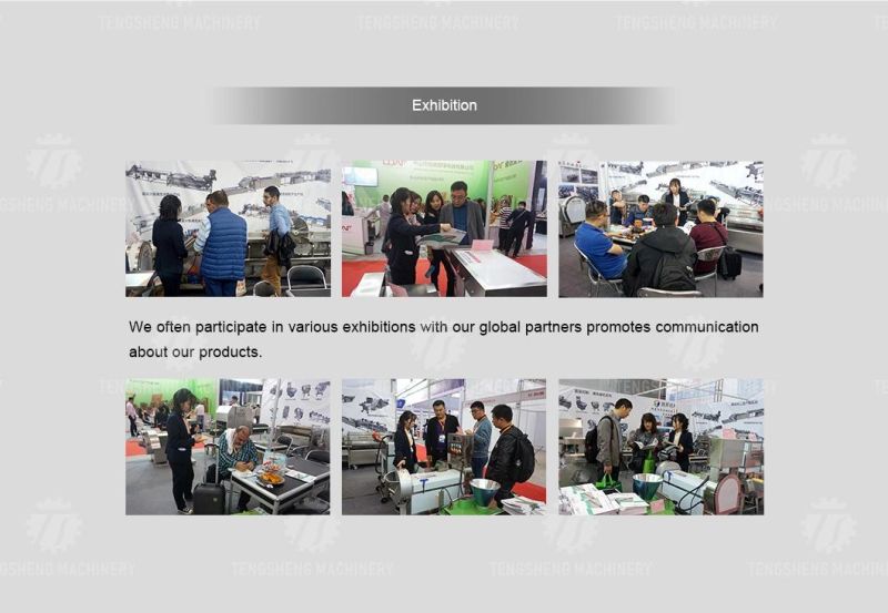 Vegetable Fruit Slicer Slicing Tomato Apple Dicing Cutting Machine (TS-Q112A)