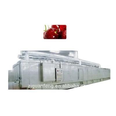 1500kg Large Capacity IQF Tunnel Freezer for Sea Cucumber