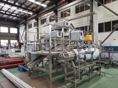 High Quality Aloe Juice Processing Production Line Machine