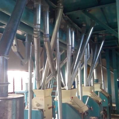 Grinding Maize Flour Grinder Mill Roller Complete Plant