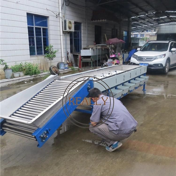 Automatic Orange Apple Pear Fruit Sorting Classification Machine