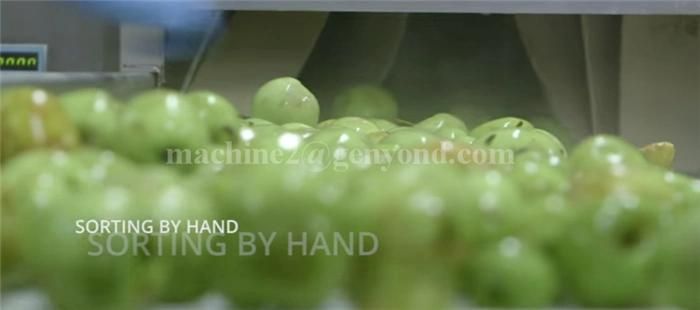 Complete Pure Apple Powder Production Line