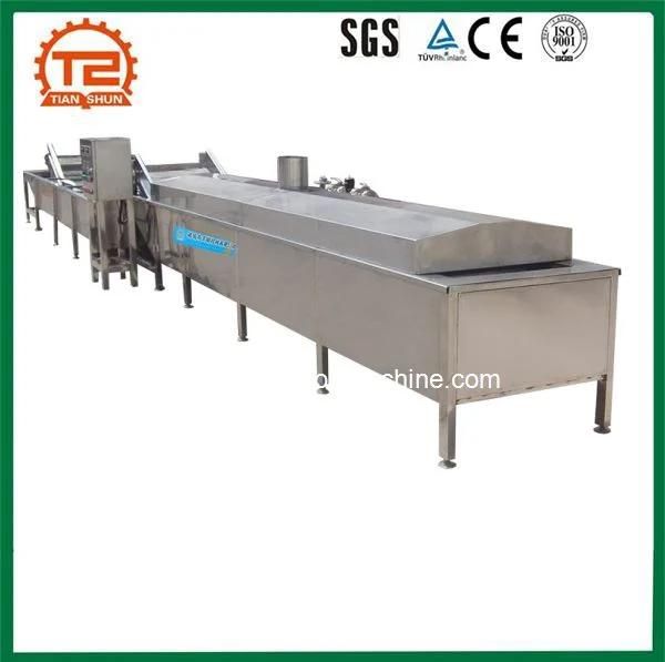 Pasteurization Plant in Fruit and Vegetable Tunnel Pasteurizer Continuous Pasteurizing Machine