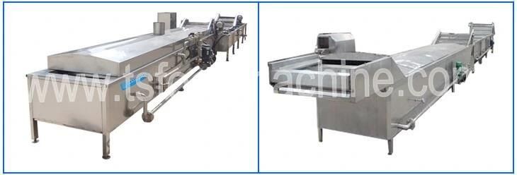 Food Processing Machinery Potato Chips Cooking and Blanching Machine