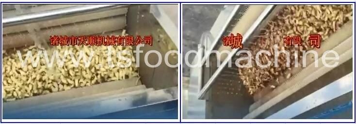 Cassava Peeling Machine and Peeler Machine